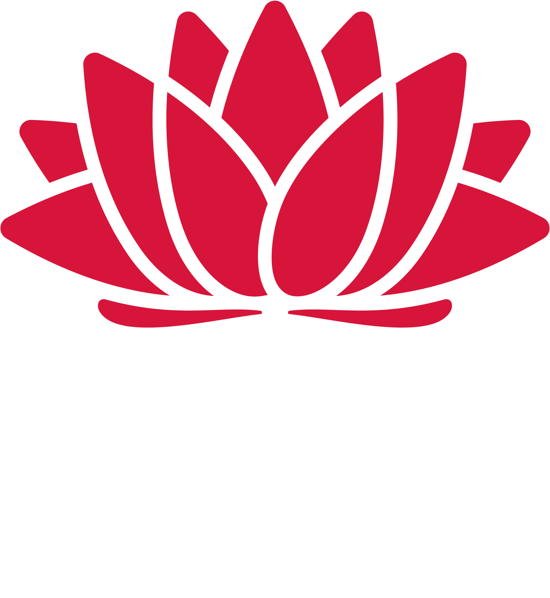NSWGov_Logo_RGB_Primary_FullColourReversed.png