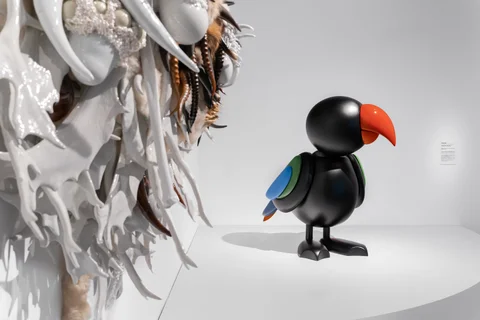 The Online Collection