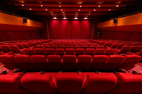 Cinema 1 - View from rear.jpg