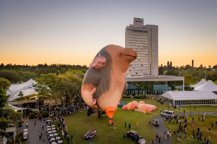 egc-ac-bleach25-skywhale-7-jpg (1).jpg