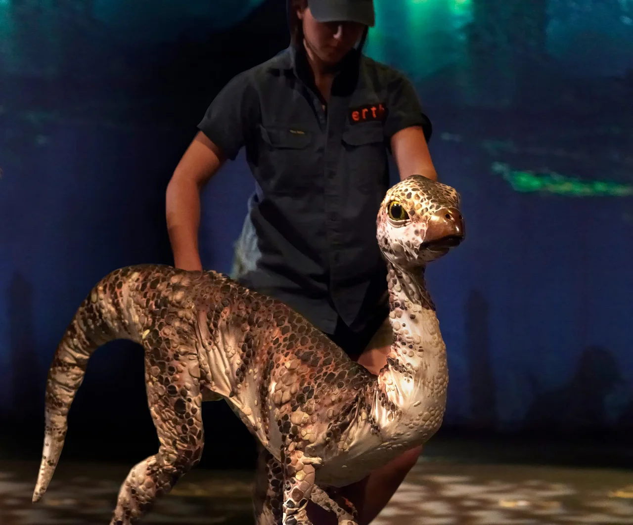 kto-26-erths-dinosaurs-gallery-image-04.jpg
